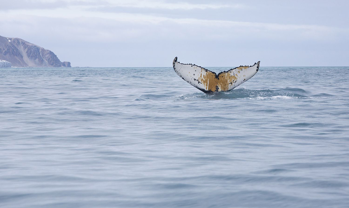 Foto: Greenpeace/Eliane Brum