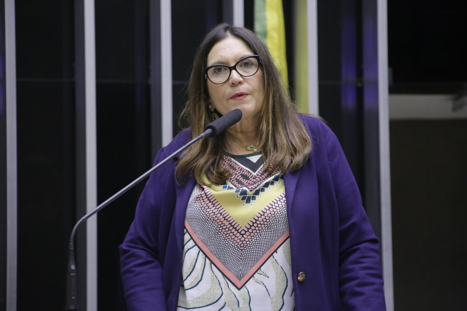 Foto: Paulo Sergio/Câmara dos Deputados