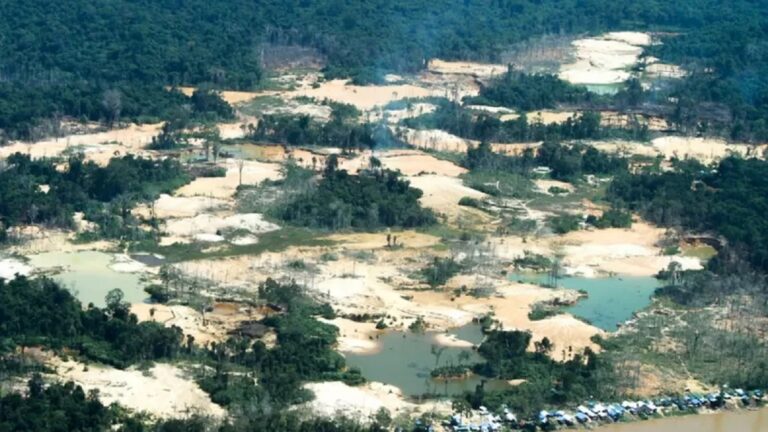 Danos provocados pelo garimpo ilegal na região do rio Uraricoera, na terra | Imagem: reprodução