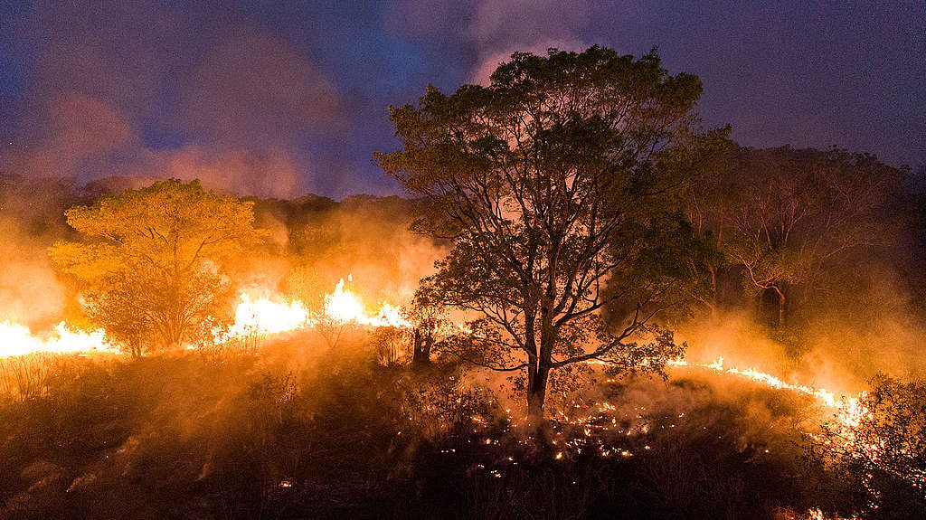 De acordo com informações do PrevFogo (Ibama), 98% das queimadas no bioma são oriundas de ações humanas (Iberê Périssé / Projeto Solos)